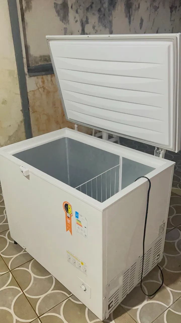 Frezzer Eletrolux 314 Litros 