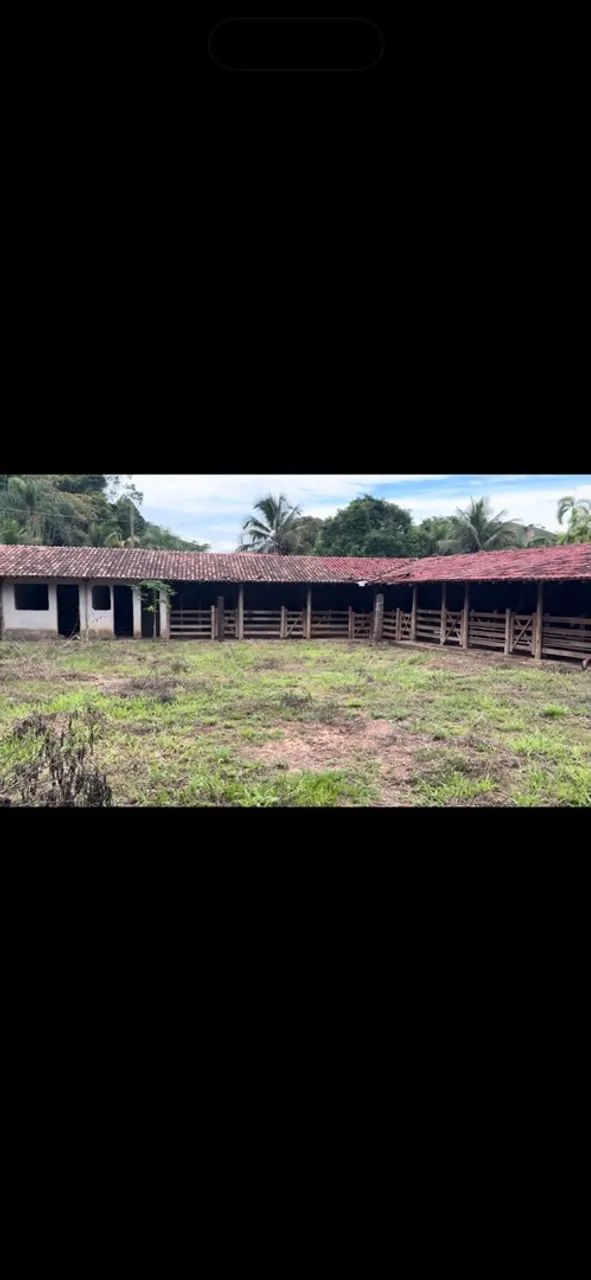 CHÁCARA A VENDA  - Foto 3