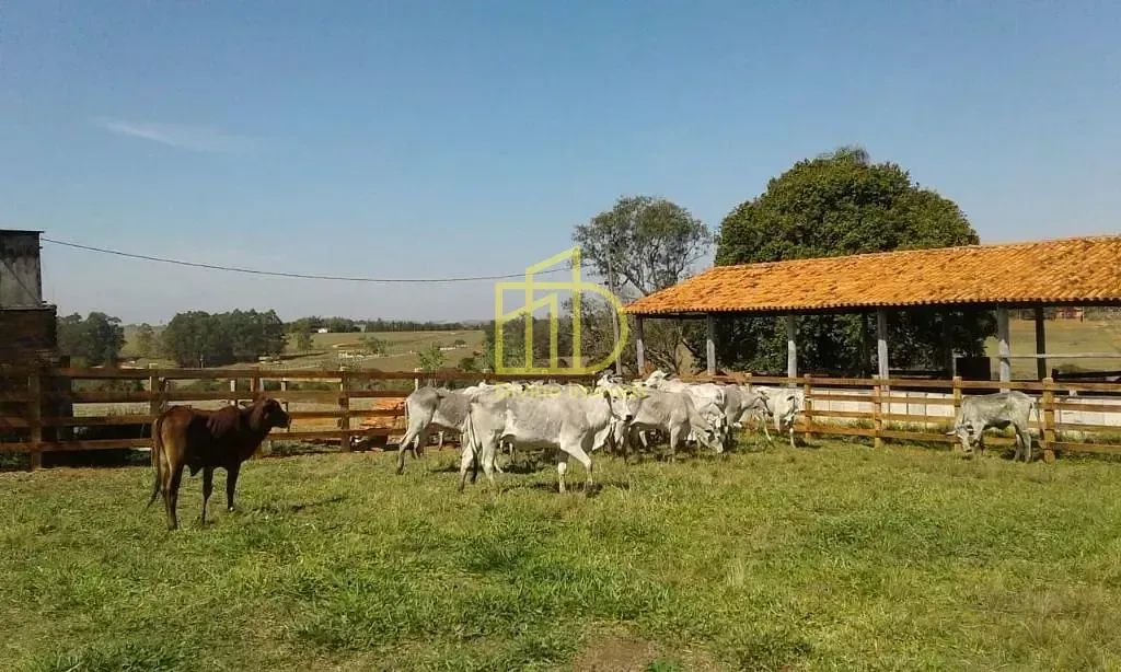 Excelente Sítio à Venda em Itapetininga  SP - Foto 4