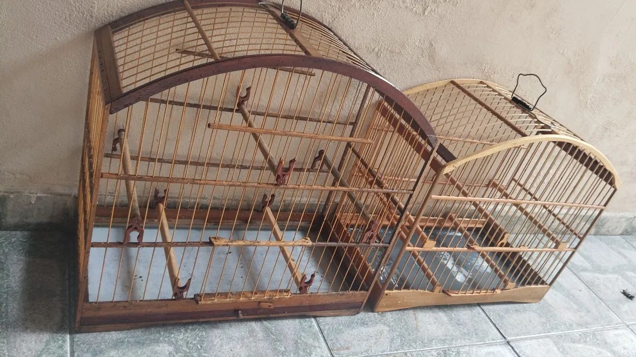 Voadeira  - Foto 2