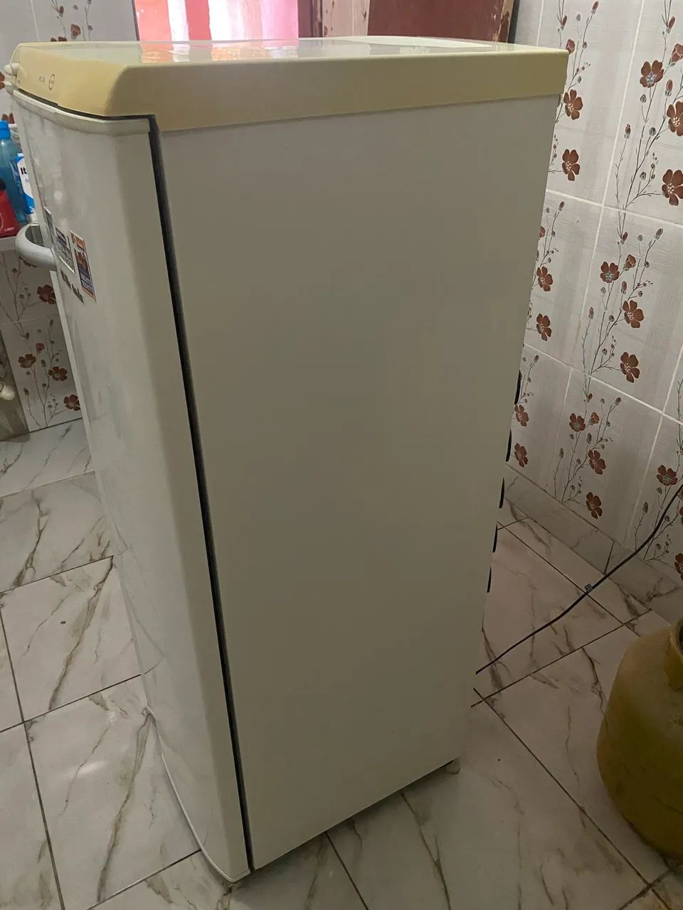 Eletrolux RE28 - Foto 4