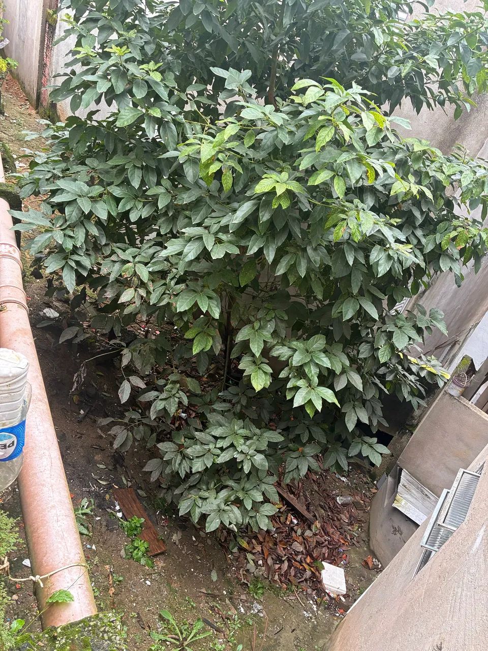 Vendo um terreno 