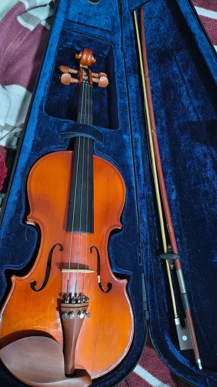 Violino Eagle VK-441 4/4 com estojo