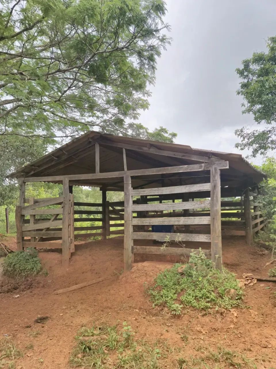 Chácara em Petrolina Goiás - Foto 2