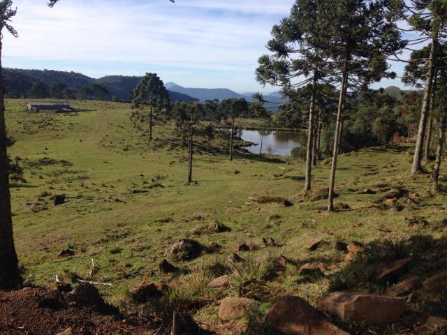 Fazenda em Urubici - SC - Foto 20