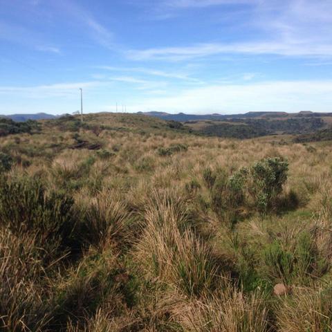 Fazenda em Urubici - SC - Foto 10