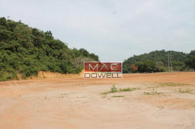 Terreno plano de 40.000 mts² em Papucaia - Foto 4