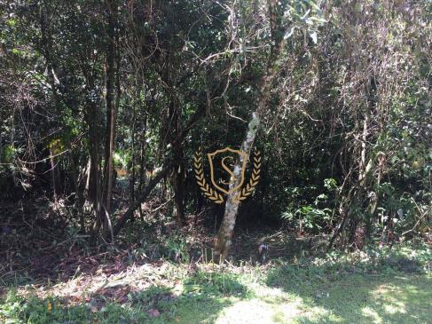 Terreno à venda, 653 m² por r$ 210.000,00 - comary - teresópolis/rj - Foto 3