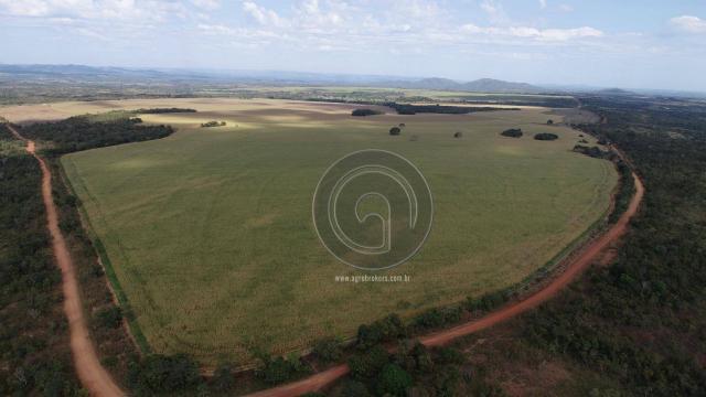 Fazenda à venda, 978 ha, região do manso - Foto 6