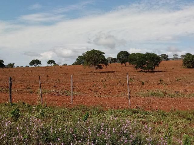 Fazenda 1.940 hectares na Estrada do Manso a 50 km de Cuiabá - Foto 12