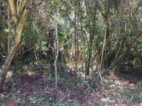 Terreno à venda, 653 m² por r$ 210.000,00 - comary - teresópolis/rj - Foto 9