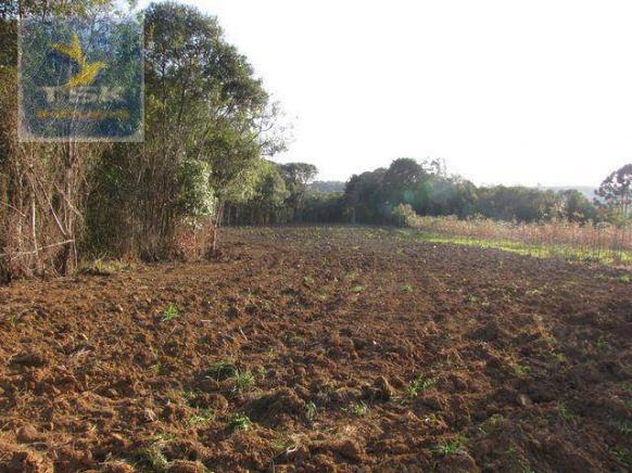 Ch0153 - contenda chácara 59.000 m² plana, rica em águas, parte com eucaliptos