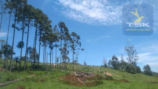 Fa0009 fazenda à venda, 605000 m² por r$ 3.150.000 - zona rural - quitandinha/pr - Foto 12