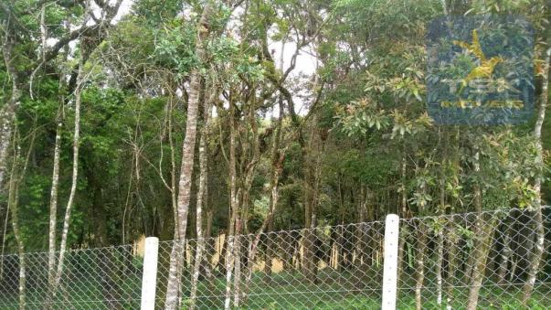 Ch0315 - são josé dos pinhais chácara 20.000 m² casa nova formada lago - Foto 10