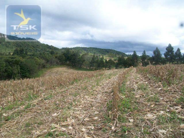 Fazenda em quitandinha - (cerrinho) - - Foto 12