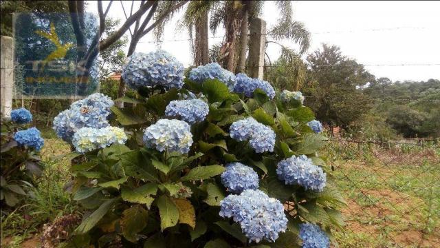Chácara à venda, agudos do sul. ch0266 - Foto 6