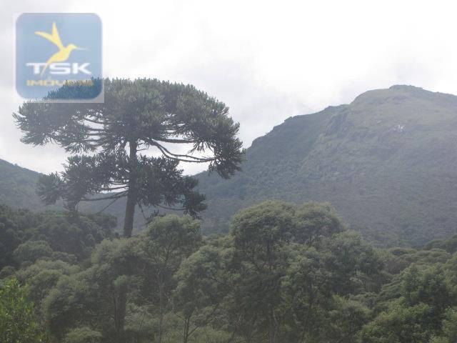Piraquara chácara 64.471,25 m² planta deodoro infinitas possibilidades dentro da cidade ch - Foto 17
