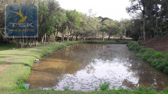Ch0311 - mandirituba - chácara 10.000 m² com casa antes do pedágio - Foto 2