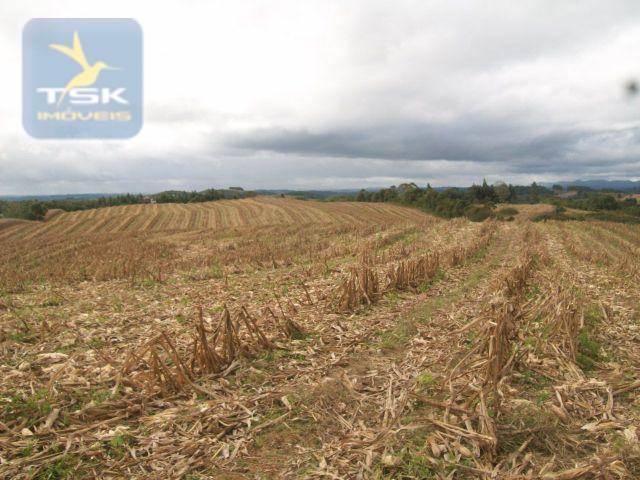 Fazenda em quitandinha - (cerrinho) - - Foto 19