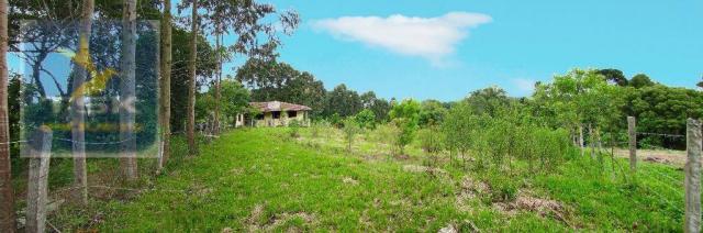 Chácara rural à venda, 4 pinheiros, mandirituba.