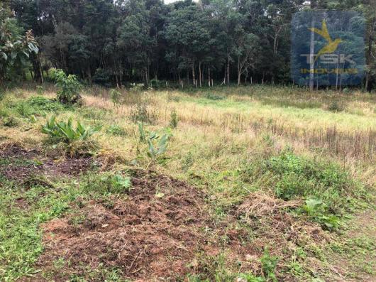 Chácara à venda, 6.957 m² por r$ 175.000 - barco - mandirituba/pr - Foto 10