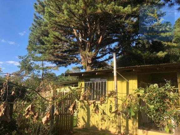 Chácara 4,75 alqueires por r$ 580.000 - centro - bocaiúva do sul/pr - Foto 9