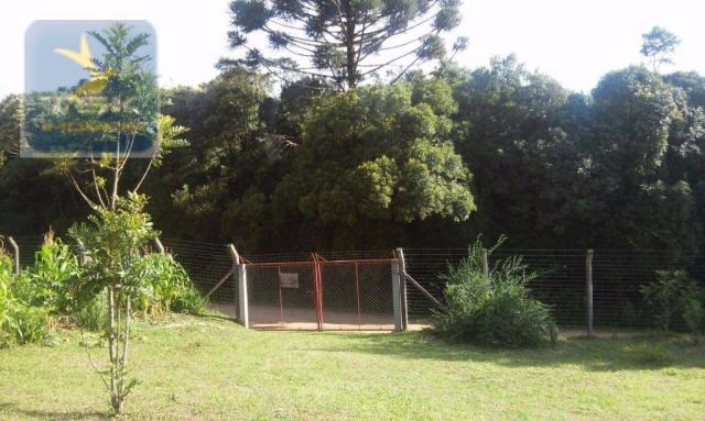 Ch0190 mandirituba chácara 4.400 m² vendo ou troco lugar bom de conhecer - Foto 4