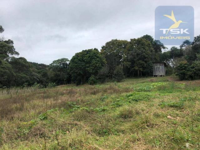 Chácara à venda, 6.957 m² por r$ 175.000 - barco - mandirituba/pr - Foto 11