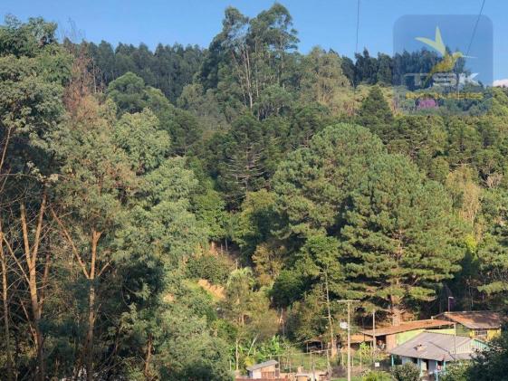 Chácara 4,75 alqueires por r$ 580.000 - centro - bocaiúva do sul/pr