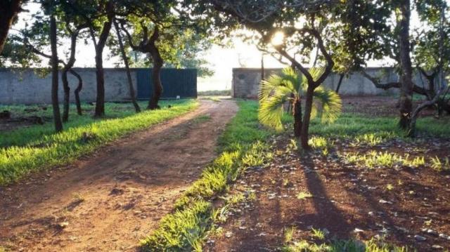Chácara rural à venda, sítios de recreio mansões do campus, goiânia. - Foto 8