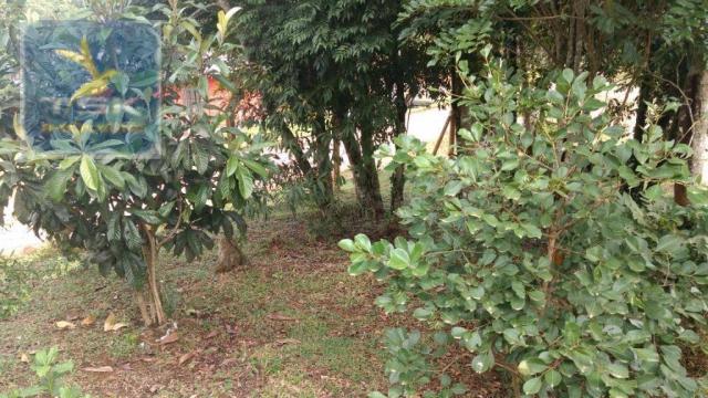 Ch0190 mandirituba chácara 4.400 m² vendo ou troco lugar bom de conhecer - Foto 14