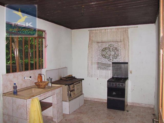 Chácara rural à venda, 4 pinheiros, mandirituba. - Foto 6