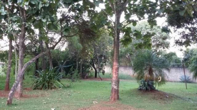 Chácara rural à venda, sítios de recreio mansões do campus, goiânia. - Foto 6