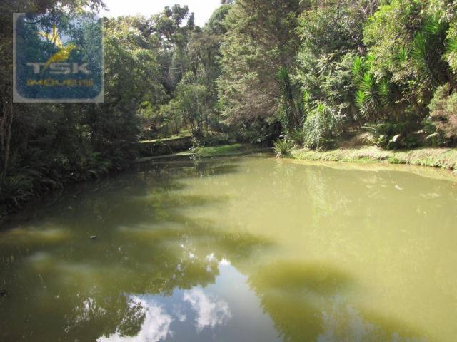 Ch0177 - chácara agudos do sul 7.500 m² sobrado triplex uma nascente impressionante - Foto 18