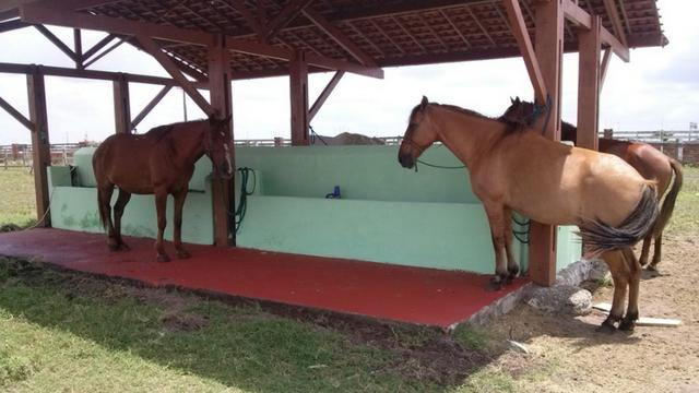 Terreno em Condomínio Fechado no Município de Cruz do Espirito Santo - Foto 4