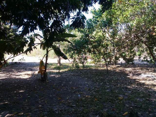 Chácara na Beira do Rio Cuiabá - Barranco alto II - Somente contrato de compra e venda - Foto 6