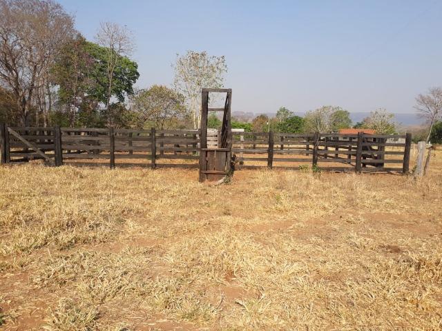 Vendo uma chácara, de 54 hectares em chapada - Foto 2