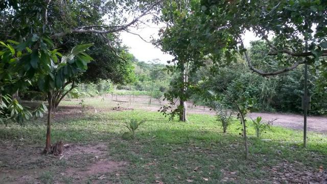 Chácara na Beira do Rio Cuiabá - Barranco alto II - Somente contrato de compra e venda - Foto 14