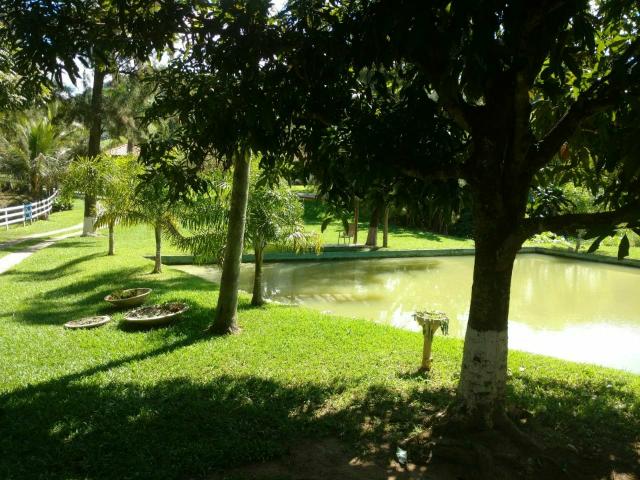 Excelente propriedade em Cantagalo!!! - Foto 9