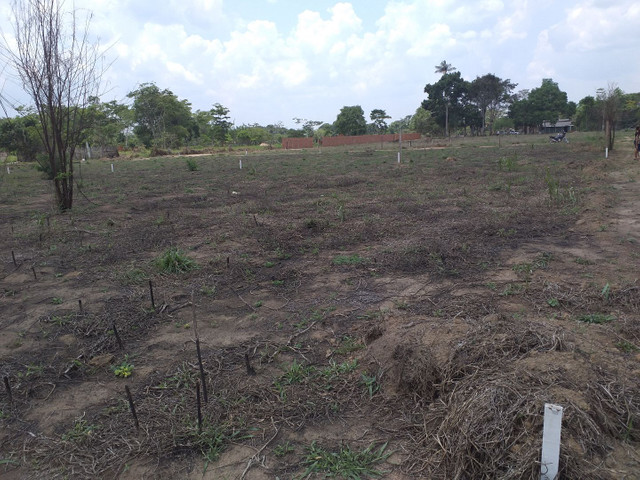 Vendo terreno valo 15mil reais pode negosia - Foto 5