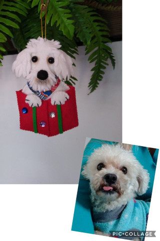 PET enfeite para arvore de natal