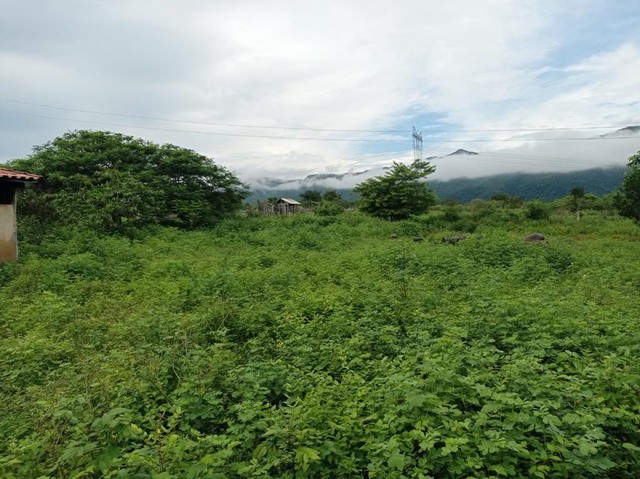 Fazenda de 959 alqueires em Cavalcante Go