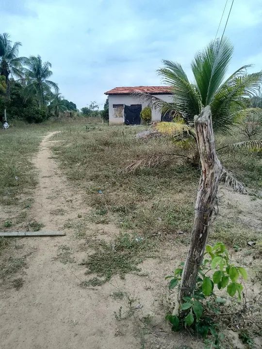 foto - Feira de Santana - Humildes