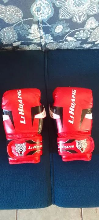 Luvas de Combate Profissional/6oz