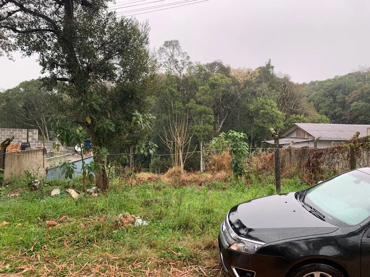 foto - São José dos Pinhais - Borda do Campo