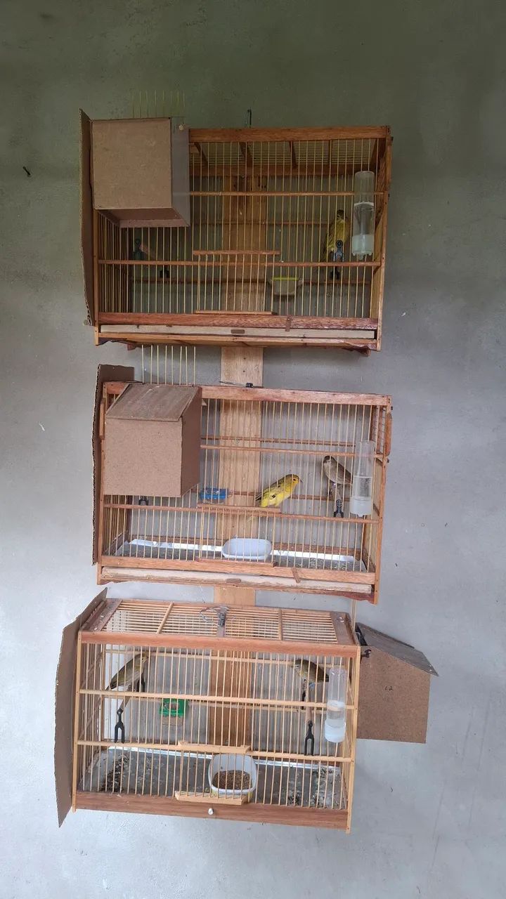 Cages 64313863752066121