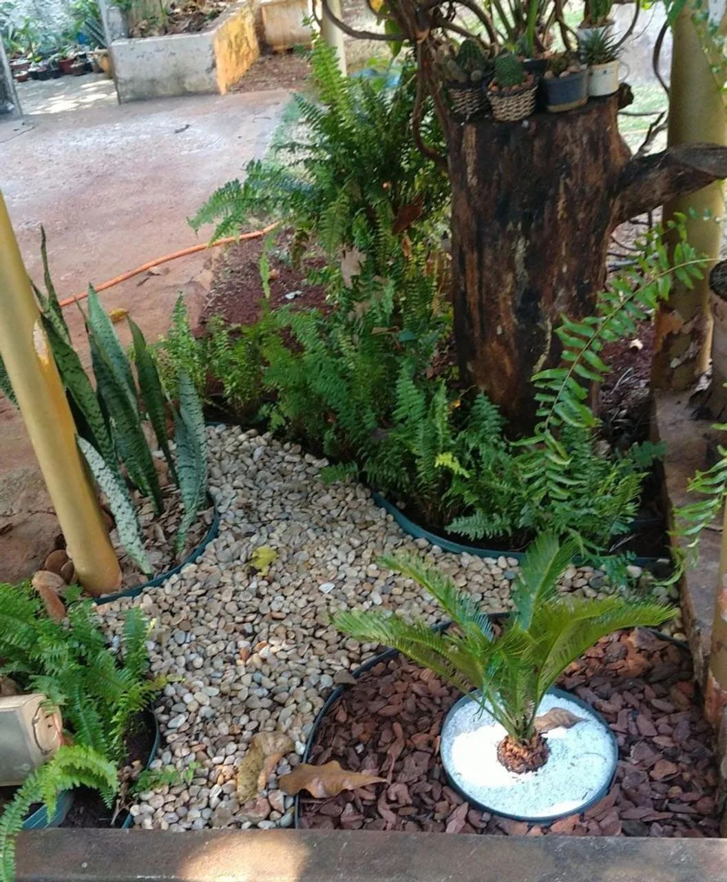 Jardinagem e Paisagismo - Jardineiro Profissional - Prestação de Serviços de Jardinagem - Foto 2