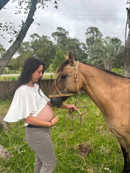 Vendo égua crioula  - Foto 5