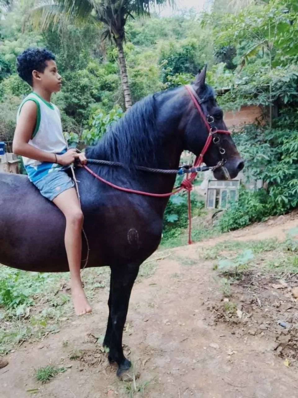 Manga larga machador - Foto 2