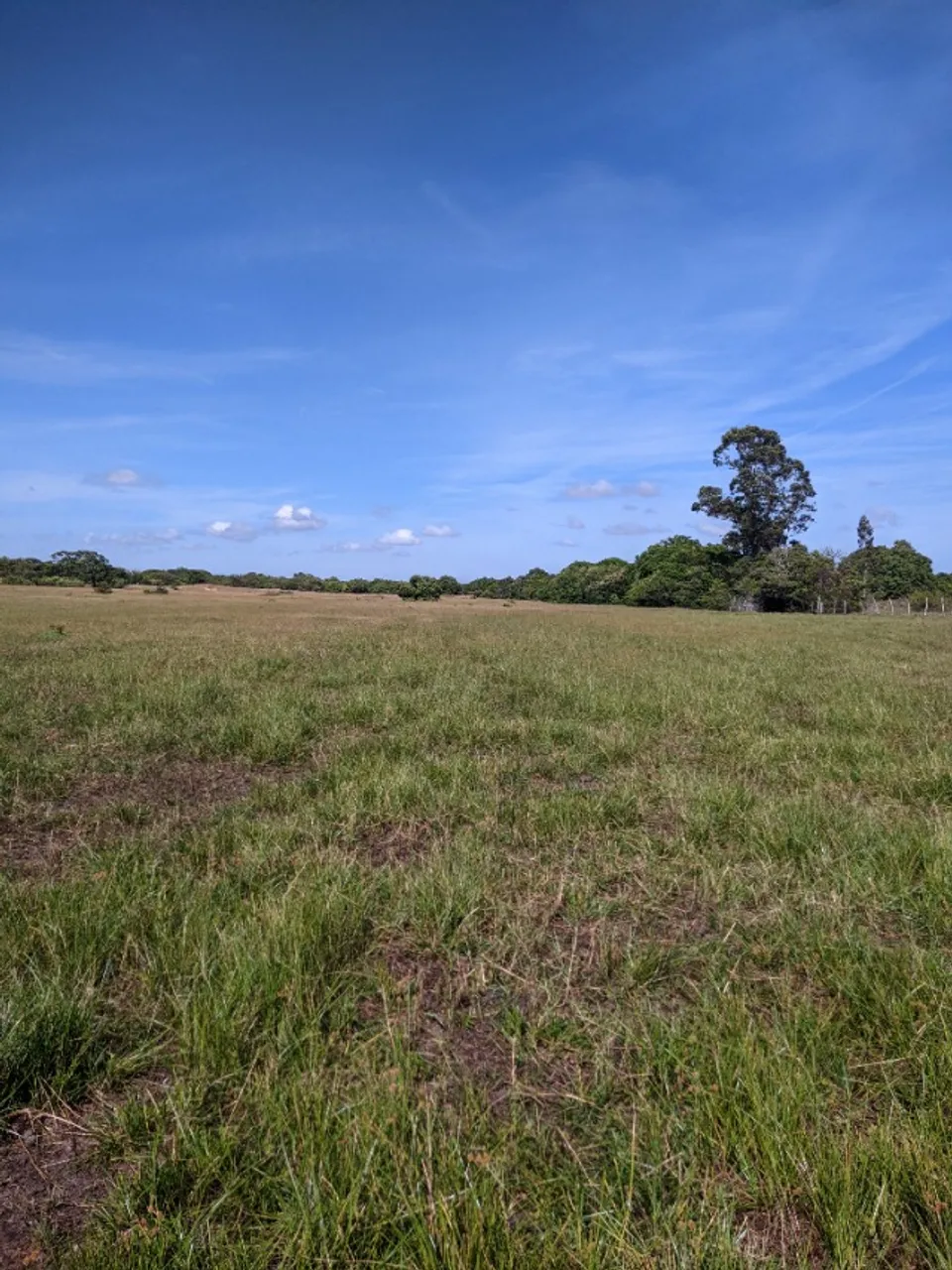 Propriedade rural à venda em Quissamã - RJ, com acesso à Lagoa Feia!